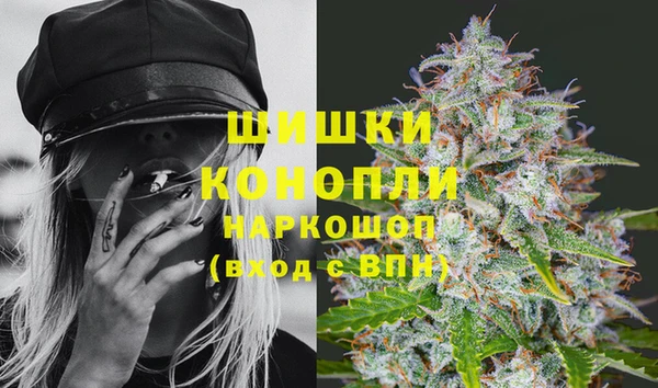 гидра Алексеевка