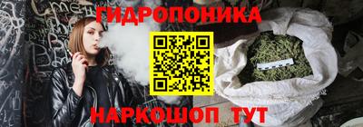 прущие грибы Можга
