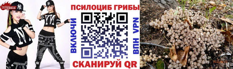 Галлюциногенные грибы Cubensis  Павловский Посад 
