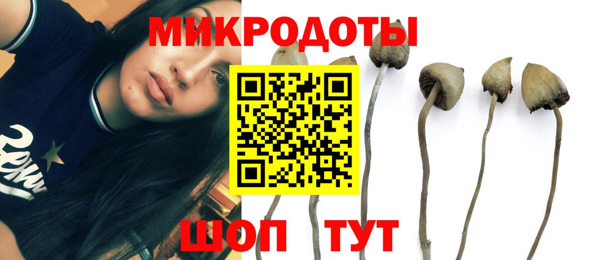 Павловский Посад  Галлюциногенные грибы мицелий  Вход с VPN 