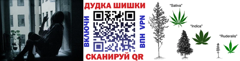 Шишки марихуана семена  где купить наркотик  Павловский Посад 